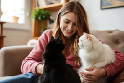 How to Introduce a New Pet to your current One